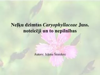 ne u dzimtas caryophyllaceae juss noteic ji un to nepiln bas