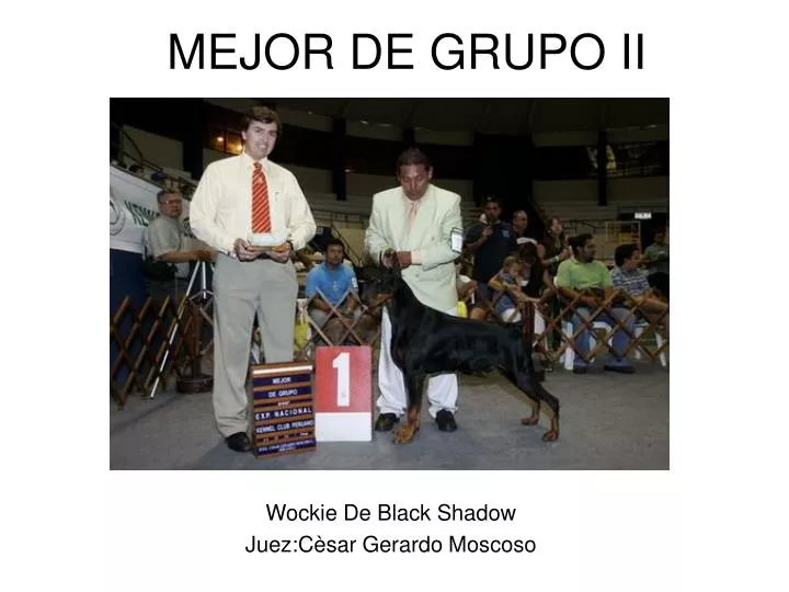 mejor de grupo ii