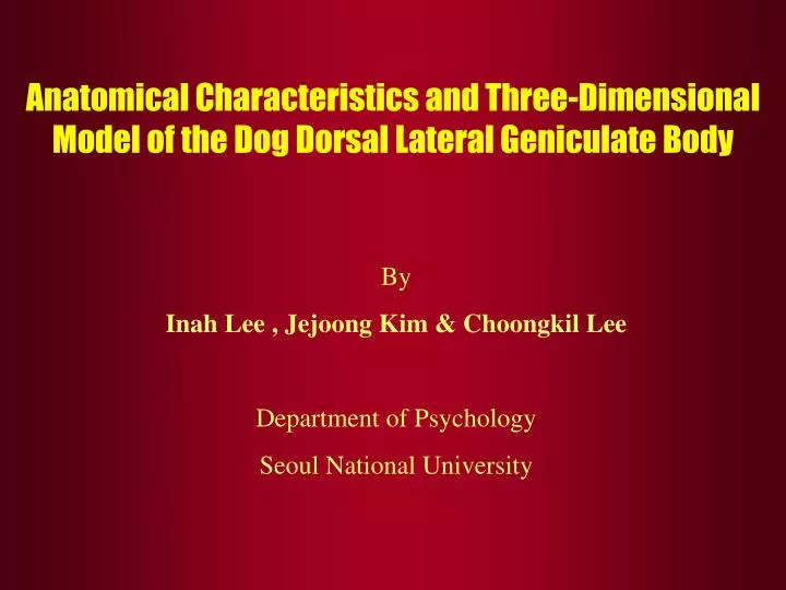 anatomical characteristics and three dimensional model of the dog dorsal lateral geniculate body