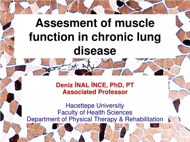 assesment of muscle function in chronic lung disease
