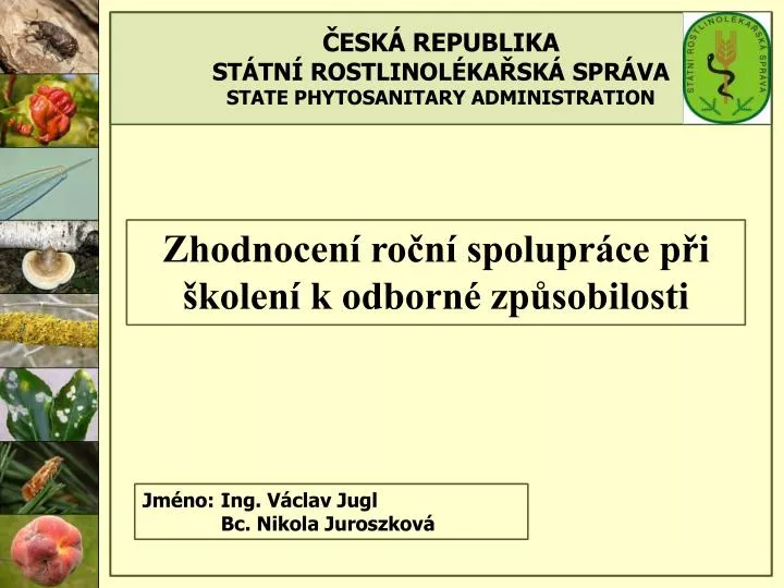 zhodnocen ro n spolupr ce p i kolen k odborn zp sobilosti