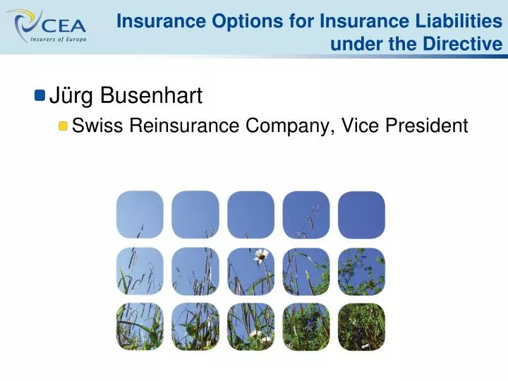 insurance options for insurance liabilities under the directive