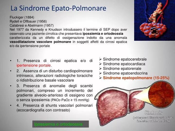 la sindrome epato polmonare