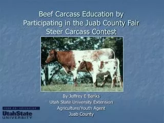 Beef Carcass Education by Participating in the Juab County Fair Steer Carcass Contest