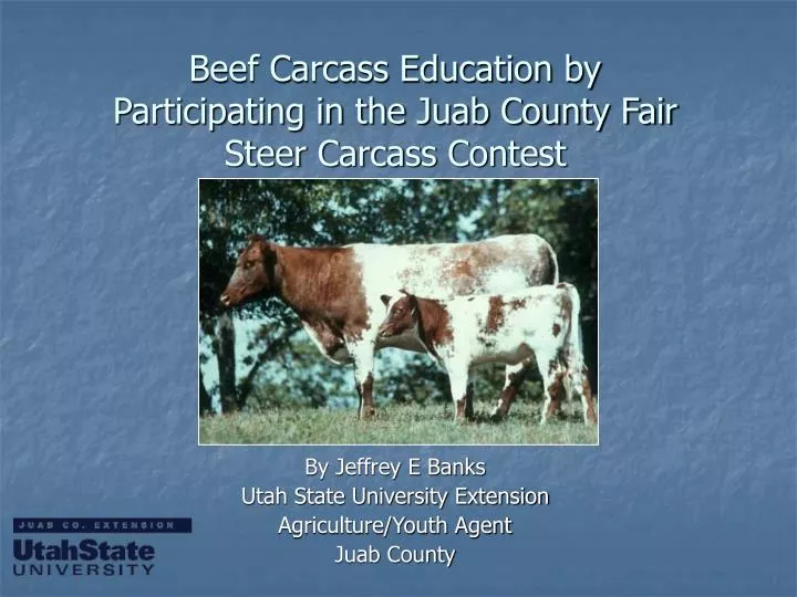 beef carcass education by participating in the juab county fair steer carcass contest