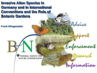 Invasive Alien Species in Germany and in International Conventions and the Role of Botanic Gardens