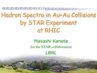 Hadron Spectra in Au+Au Collisions by STAR Experiment at RHIC
