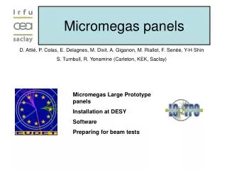 Micromegas panels
