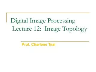 Digital Image Processing Lecture 12: Image Topology