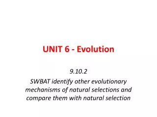 UNIT 6 - Evolution