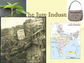 The Jute Industry