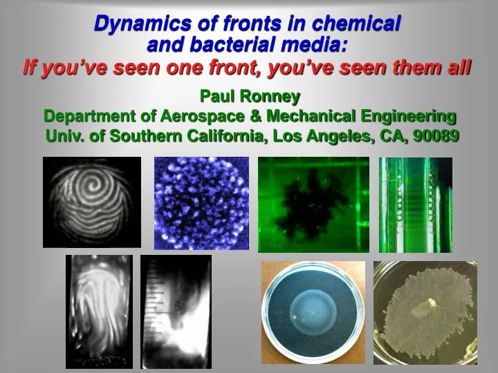 dynamics of fronts in chemical and bacterial media if you ve seen one front you ve seen them all