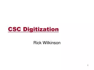 CSC Digitization