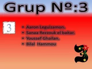 grup n 3