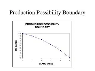 Production Possibility Boundary