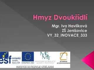 hmyz dvouk dl