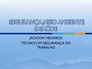 seguran a meio ambiente e sa de
