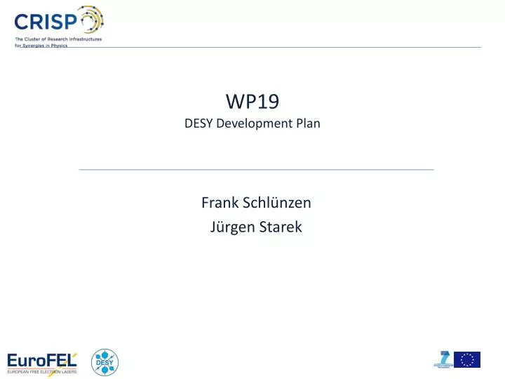 wp19 desy development plan