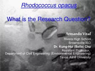 Rhodococcus opacus What is the Research Question?
