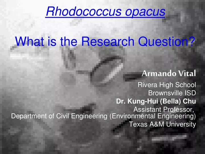 rhodococcus opacus what is the research question