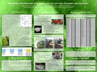 Inoculation and detection of Impatiens necrotic spot virus in tomato and cucumber