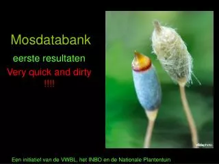 mosdatabank