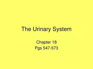 The Urinary System