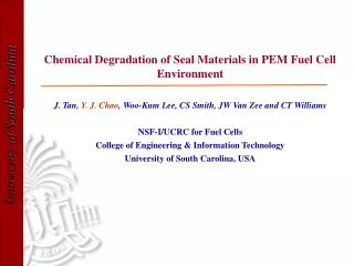 Chemical Degradation of Seal Materials in PEM Fuel Cell Environment