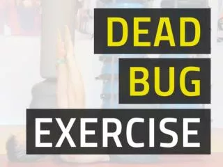 Dead Bug Exercise - Train Abs Without Back Pain