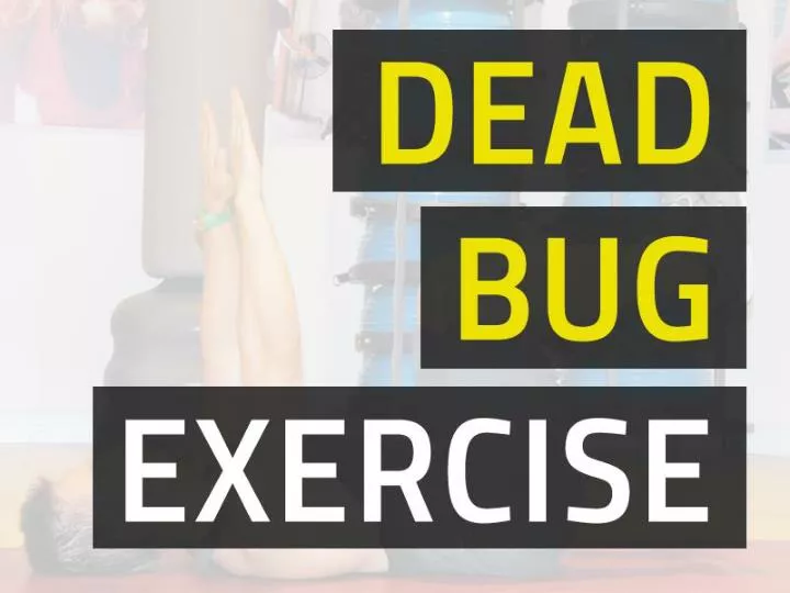 dead bug exercise