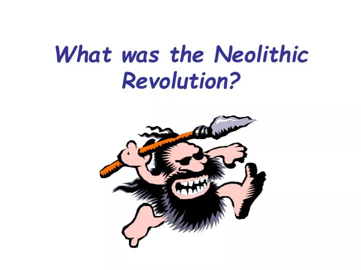 what was the neolithic revolution
