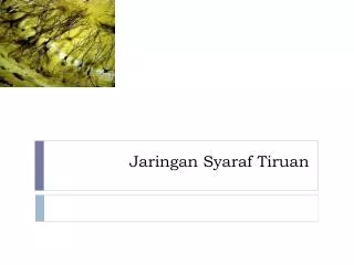 jaringan syaraf tiruan