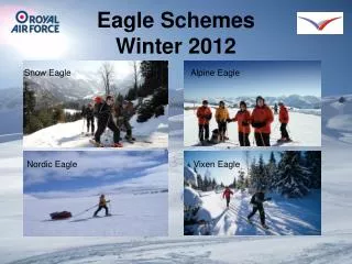 Eagle Schemes Winter 2012