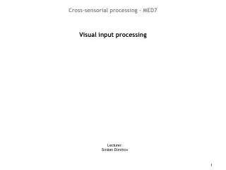 Visual input processing