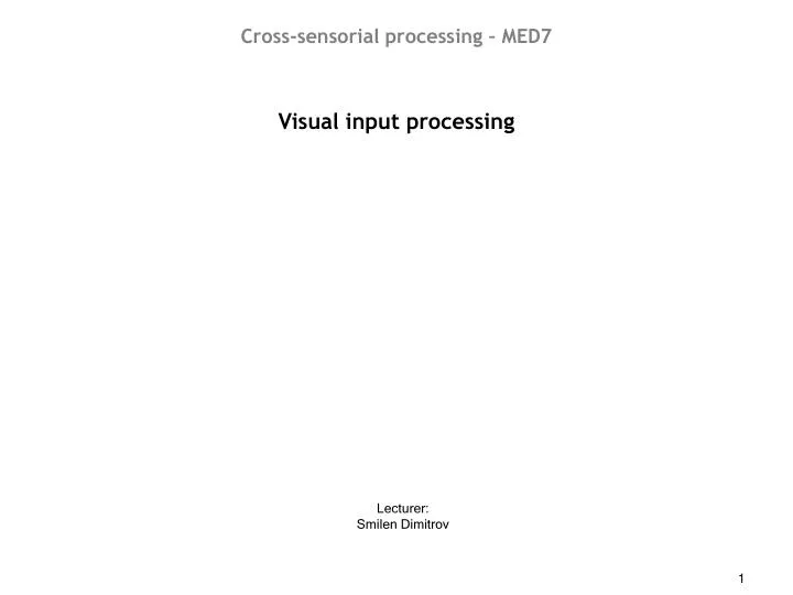 visual input processing