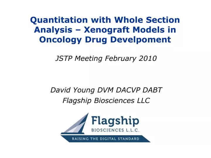 quantitation with whole section analysis xenograft models in oncology drug develpoment