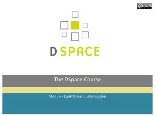 The DSpace Course