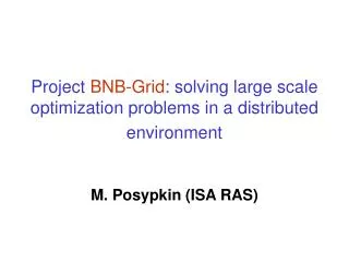 Project BNB-Grid : solving large scale optimization problems in a distributed environment