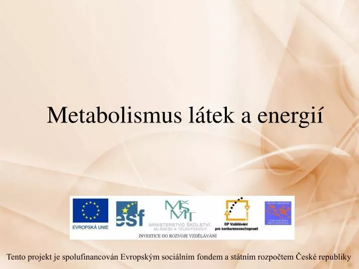 metabolismus l tek a energi