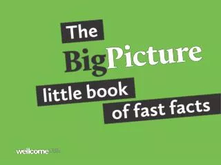 The Big Picture little book of fast facts