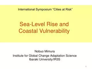 Nobuo Mimura Institute for Global Change Adaptation Science Ibaraki University/IR3S