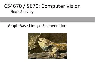 Graph-Based Image Segmentation