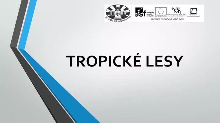 tropick lesy