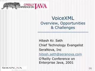 VoiceXML Overview, Opportunities &amp; Challenges