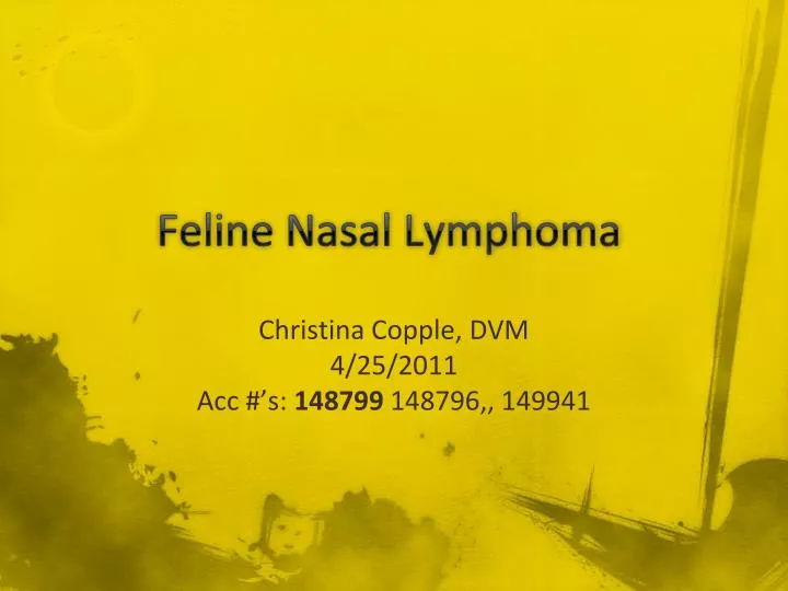 feline nasal lymphoma