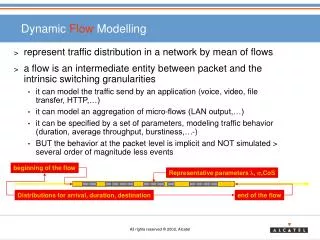 Dynamic Flow Modelling