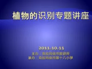 2011 10 11