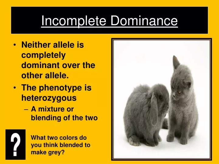 incomplete dominance