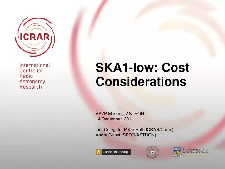 ska1 low cost considerations