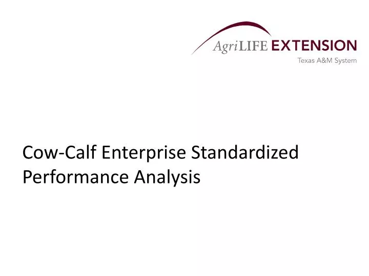 cow calf enterprise standardized performance analysis